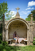 In the Rose Garden