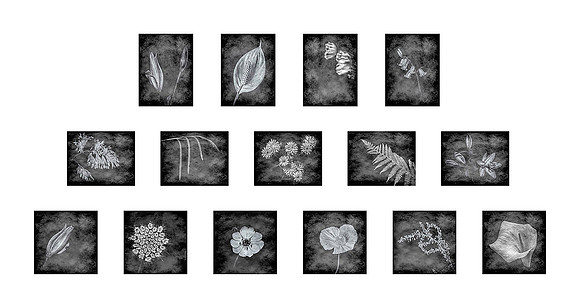 (001) GRID of 15-5