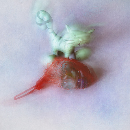 (32) _OLY4369-Edit Puss is loseing his Marbles10x10