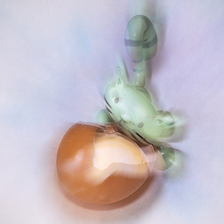 (30) _OLY4360-Edit Puss eat the Egg10x10